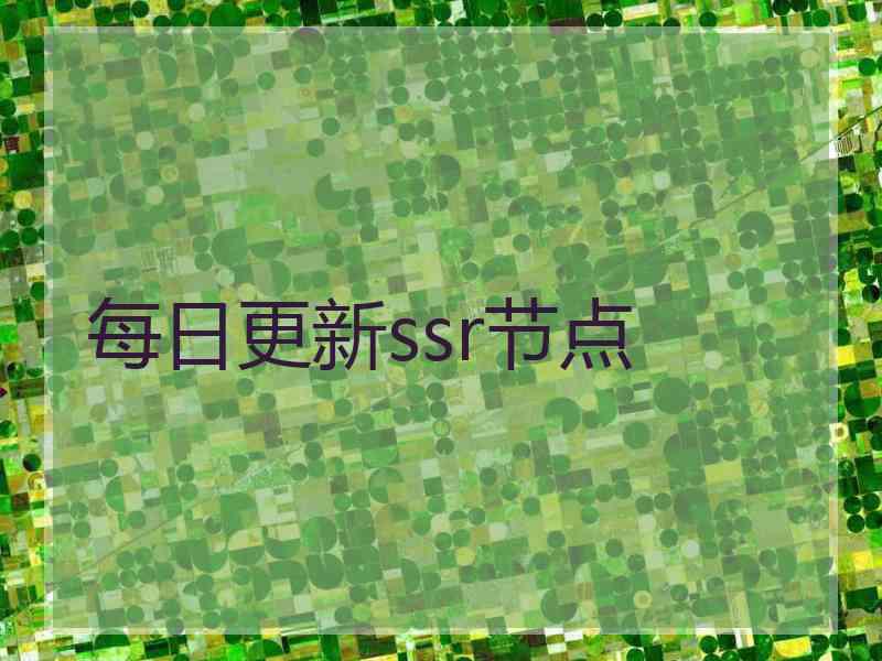 每日更新ssr节点