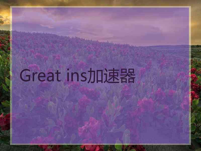 Great ins加速器