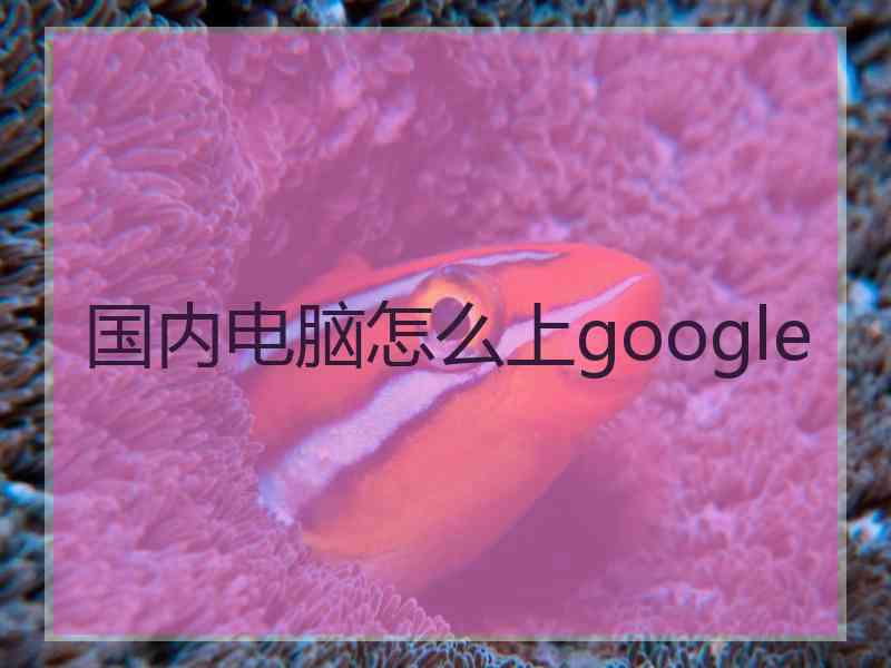 国内电脑怎么上google