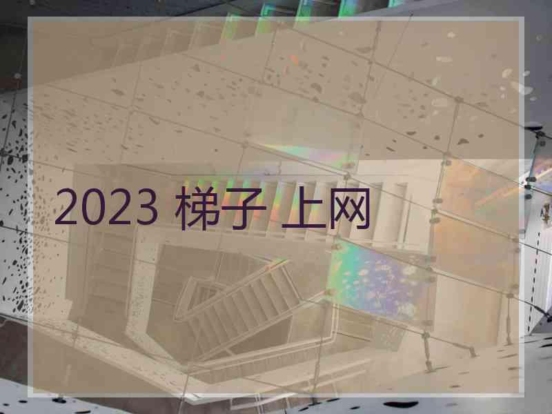 2023 梯子 上网