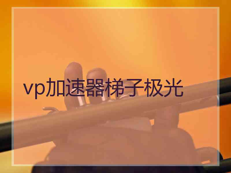 vp加速器梯子极光