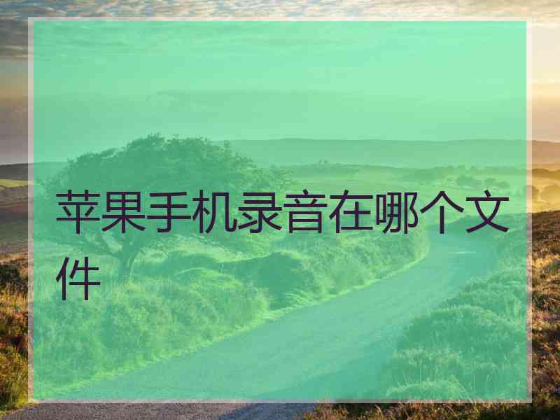 苹果手机录音在哪个文件