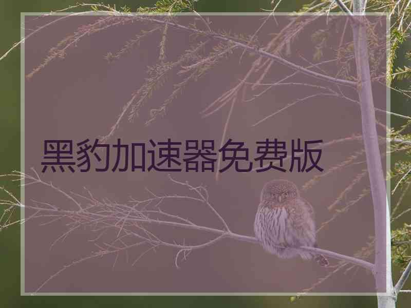 黑豹加速器免费版