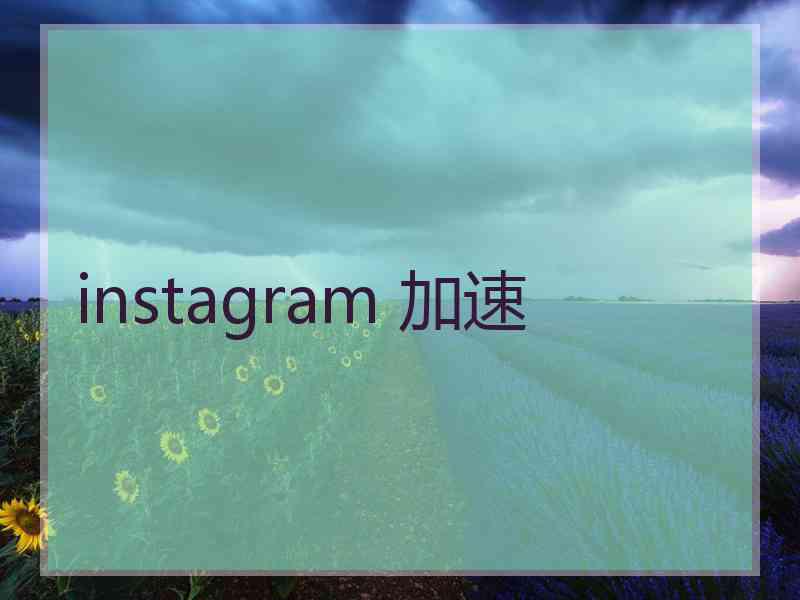 instagram 加速