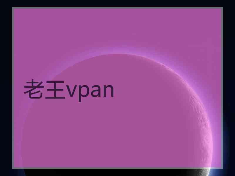 老王vpan