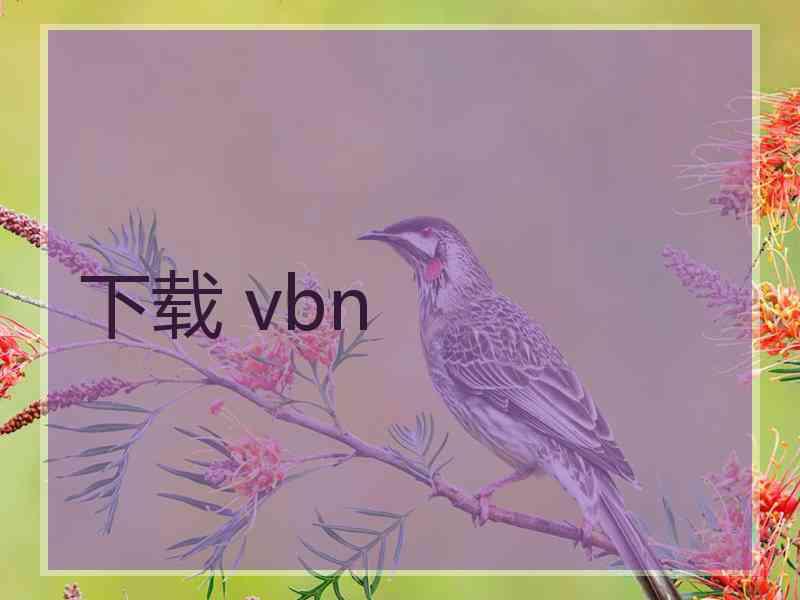 下载 vbn