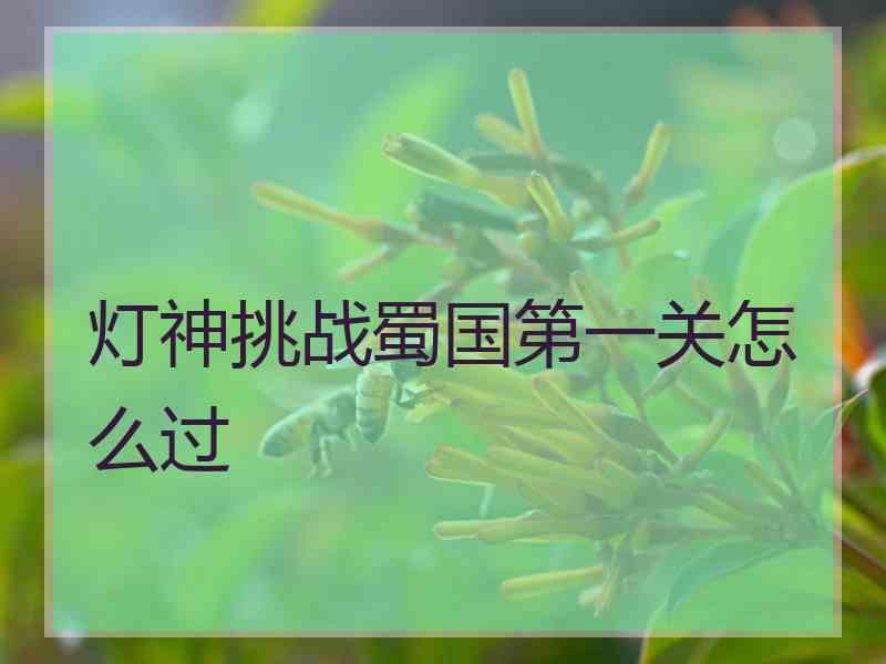 灯神挑战蜀国第一关怎么过