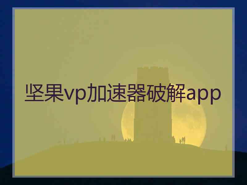 坚果vp加速器破解app