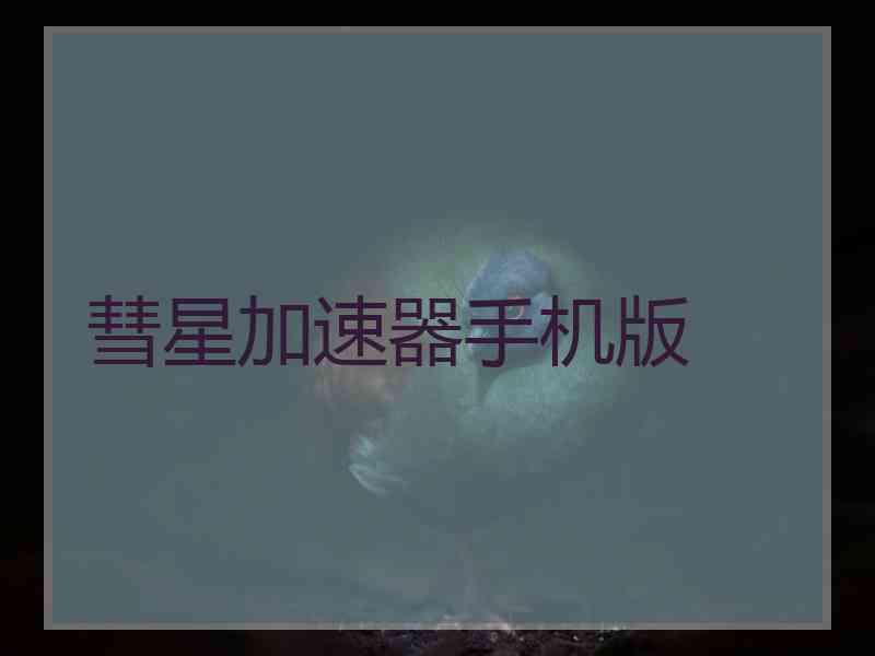 彗星加速器手机版