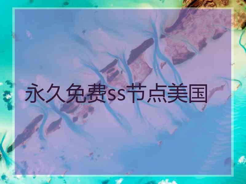 永久免费ss节点美国