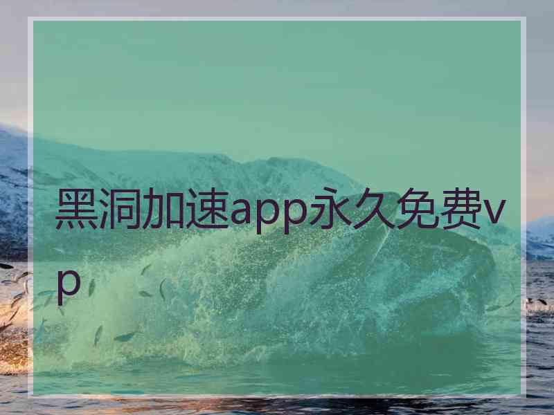 黑洞加速app永久免费vp