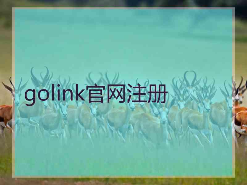 golink官网注册