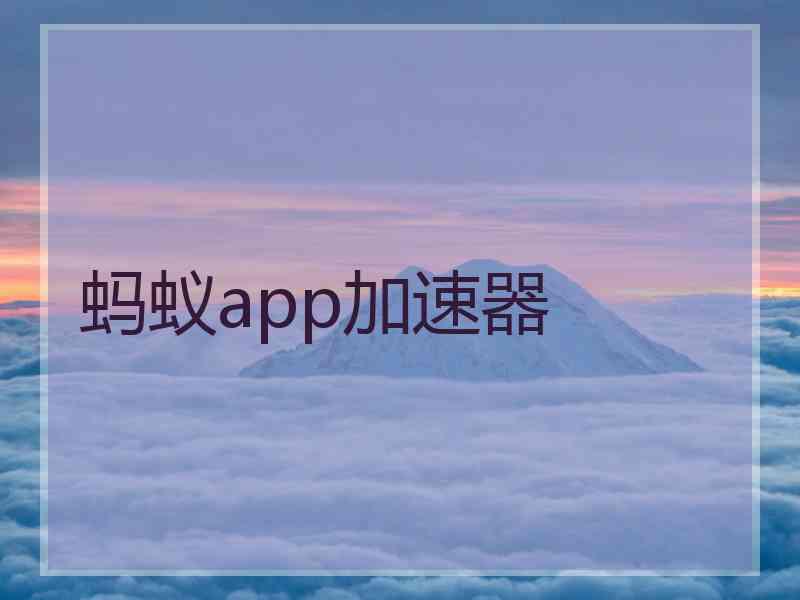 蚂蚁app加速器