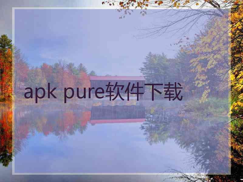 apk pure软件下载