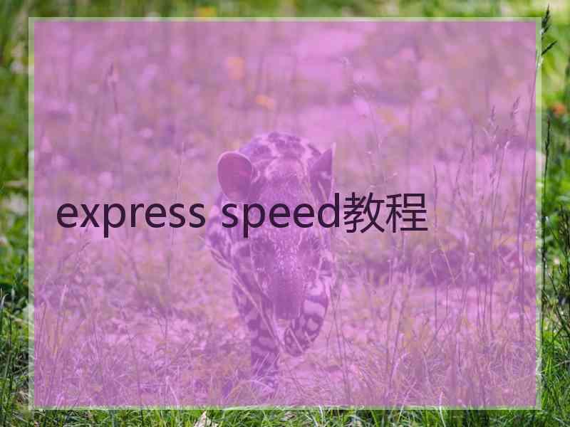 express speed教程