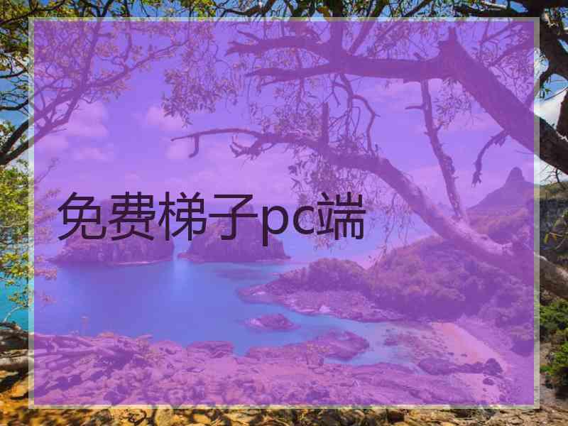 免费梯子pc端