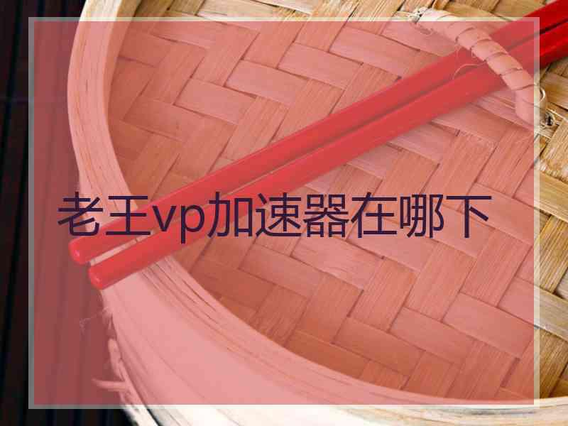 老王vp加速器在哪下