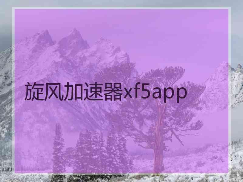 旋风加速器xf5app