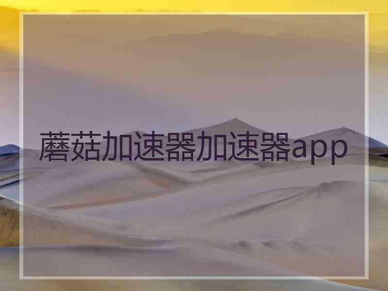 蘑菇加速器加速器app