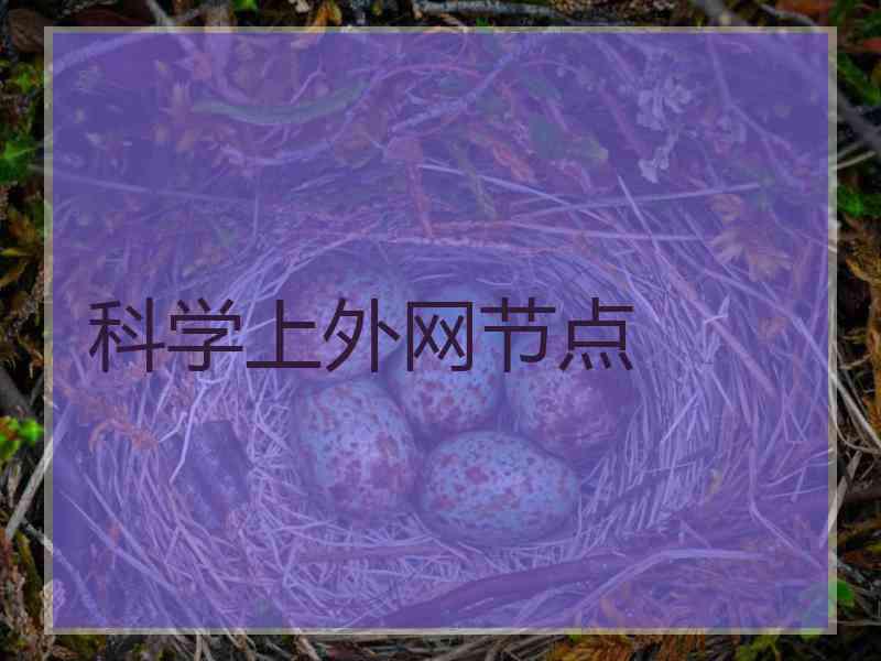 科学上外网节点