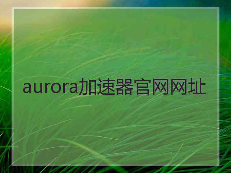 aurora加速器官网网址