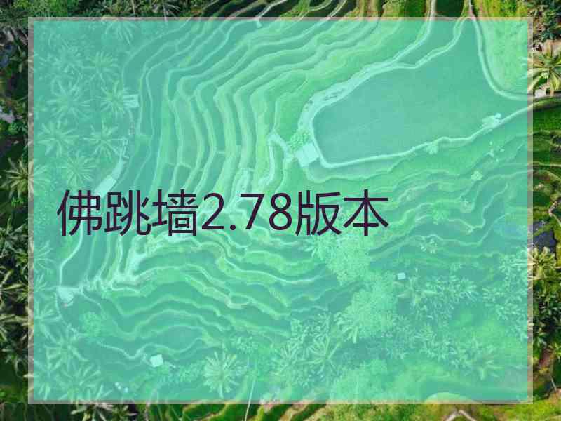 佛跳墙2.78版本