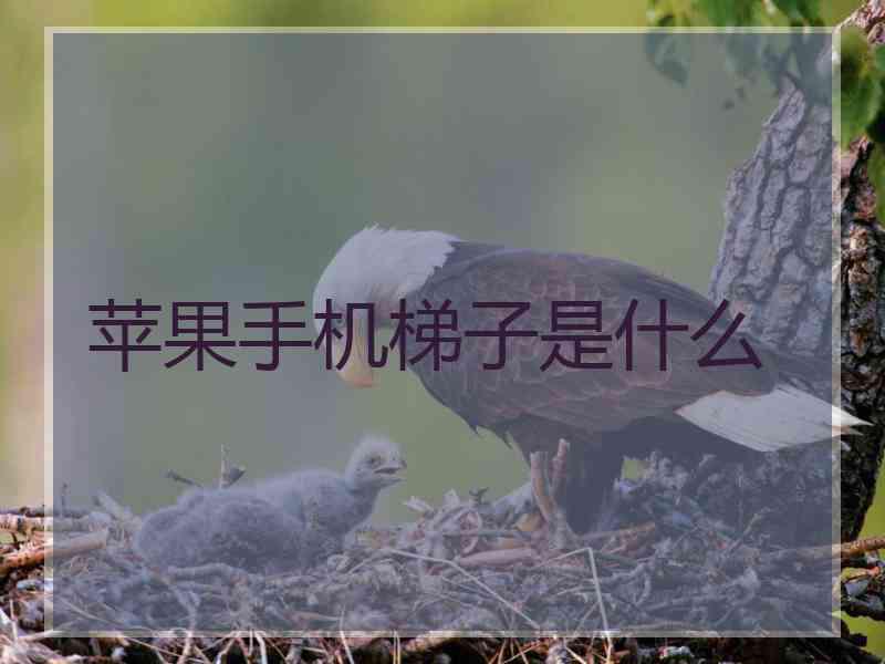 苹果手机梯子是什么