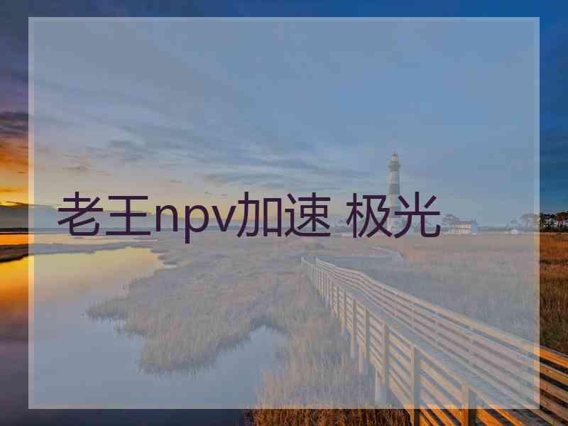 老王npv加速 极光