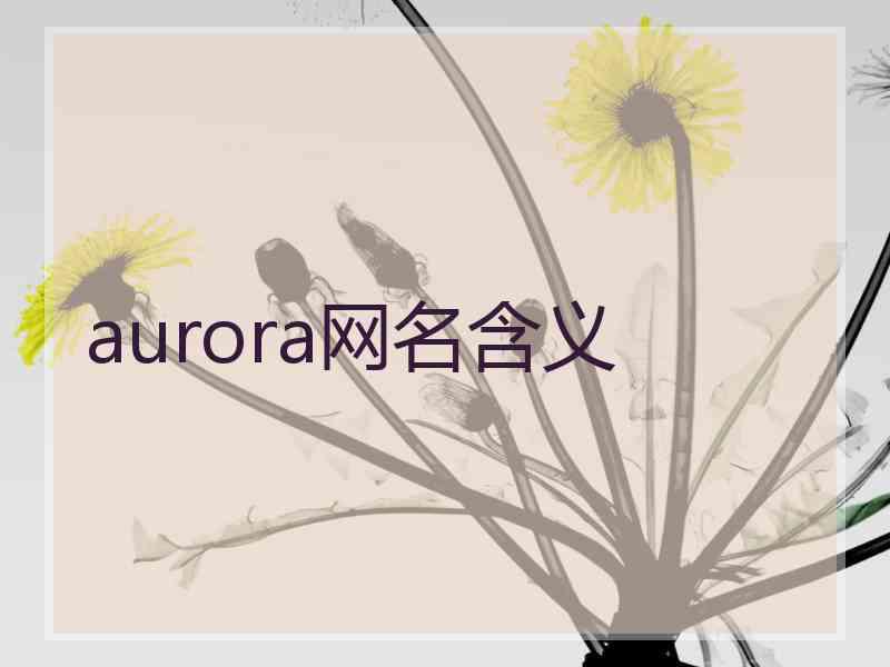 aurora网名含义