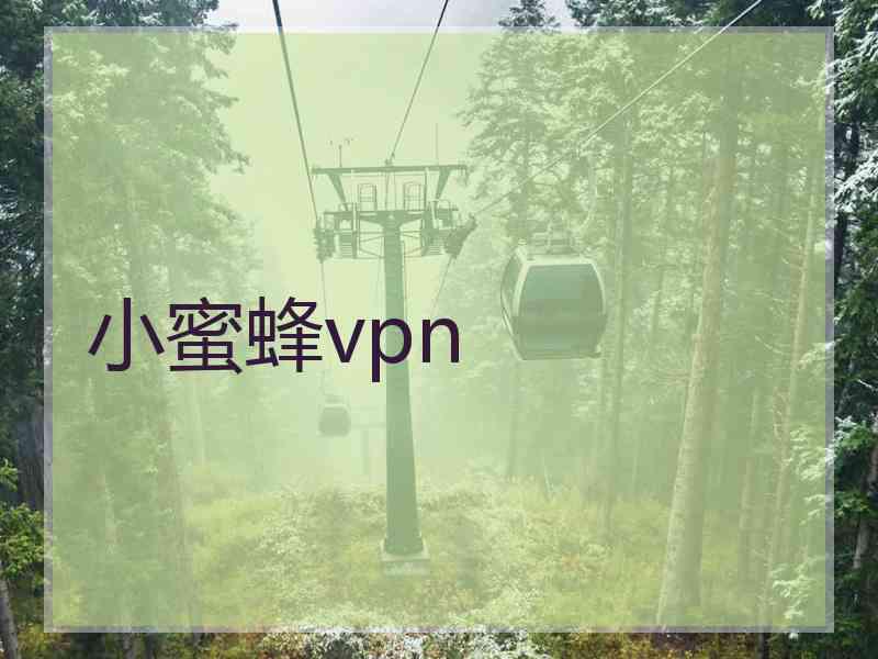 小蜜蜂vpn