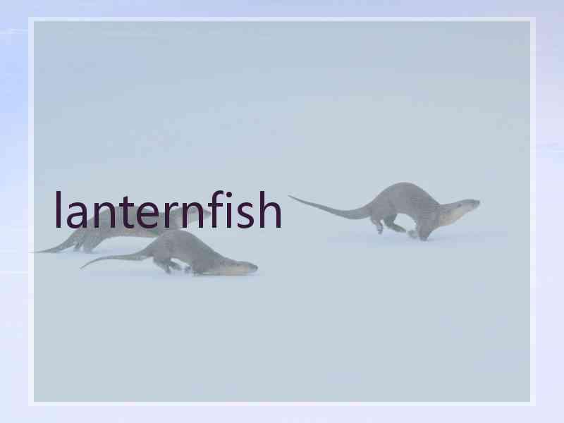 lanternfish