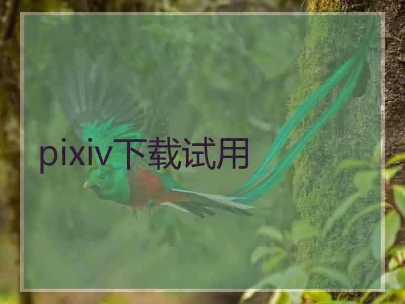 pixiv下载试用