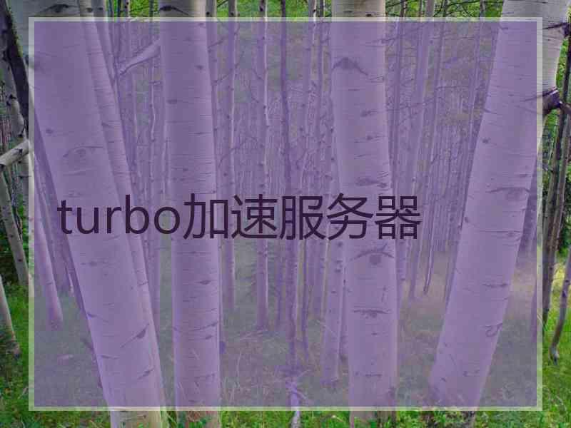 turbo加速服务器