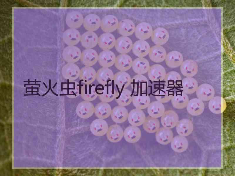 萤火虫firefly 加速器