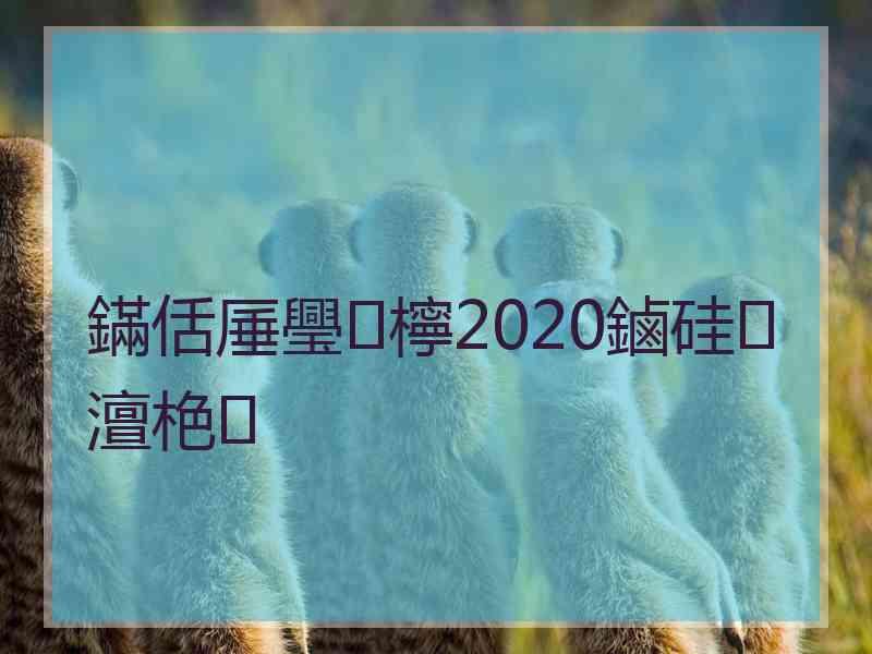 鏋佸厜璺檸2020鏀硅澶栬