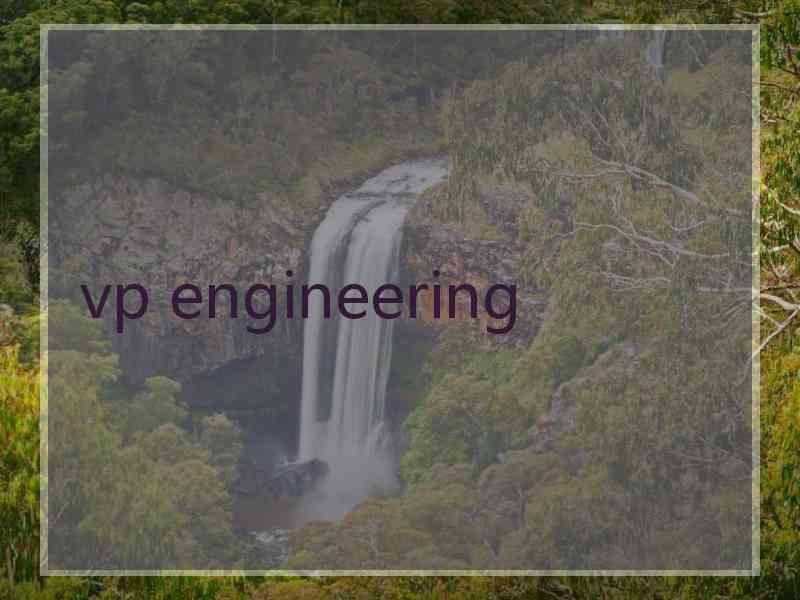 vp engineering