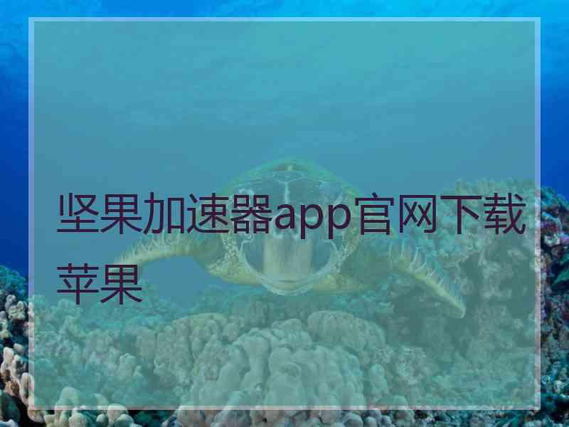 坚果加速器app官网下载苹果