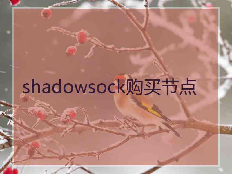 shadowsock购买节点