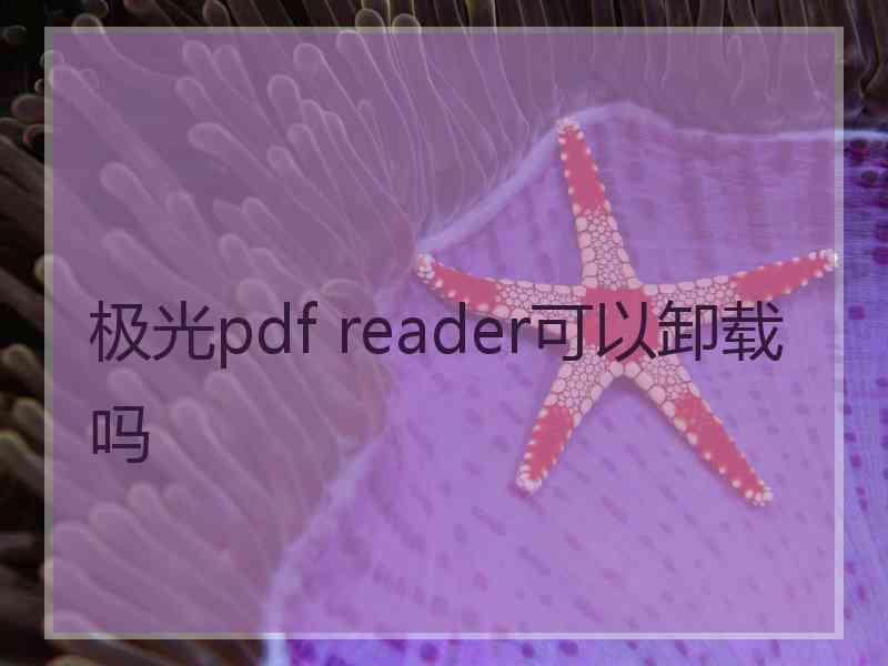 极光pdf reader可以卸载吗