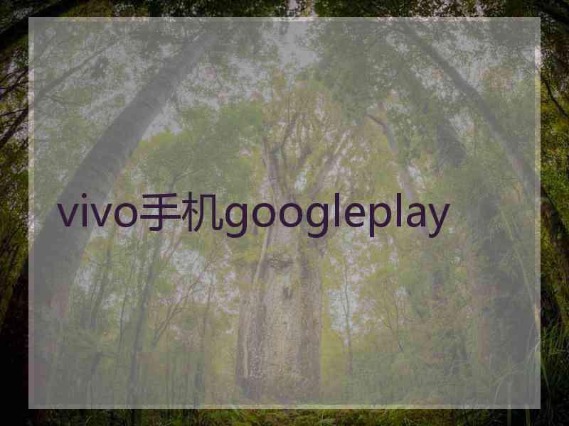 vivo手机googleplay