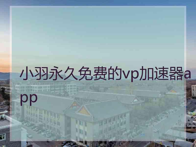 小羽永久免费的vp加速器app