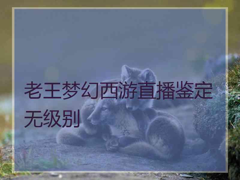 老王梦幻西游直播鉴定无级别