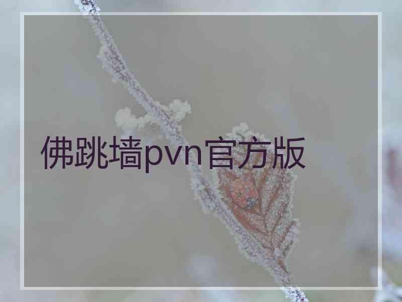 佛跳墙pvn官方版