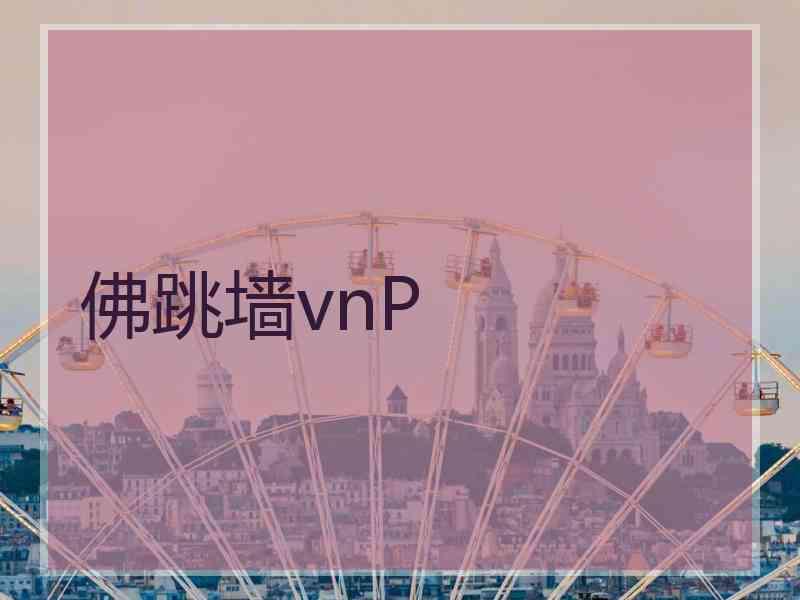 佛跳墙vnP