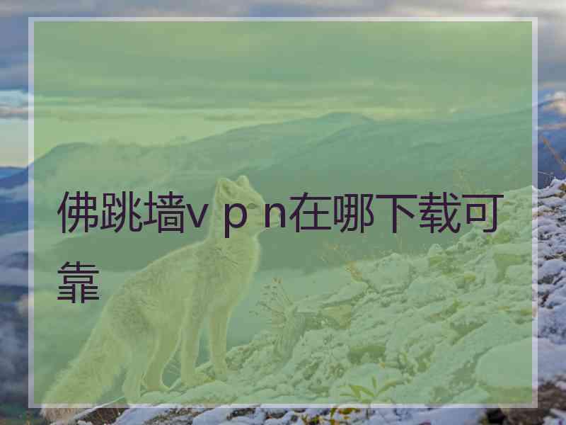 佛跳墙v p n在哪下载可靠