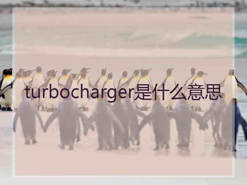 turbocharger是什么意思