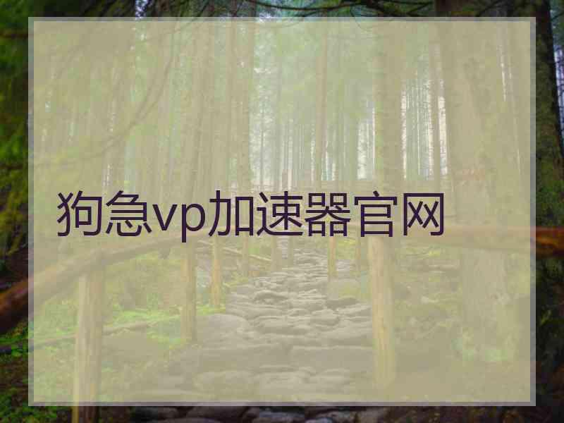 狗急vp加速器官网