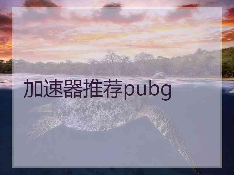 加速器推荐pubg