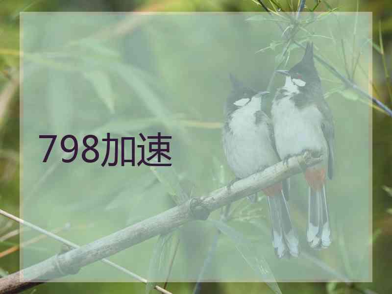 798加速