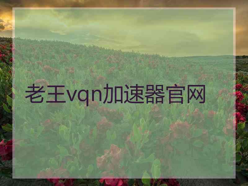 老王vqn加速器官网